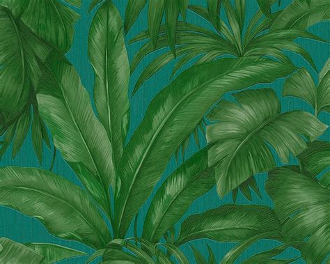 versace leaf|versace green wallpaper.